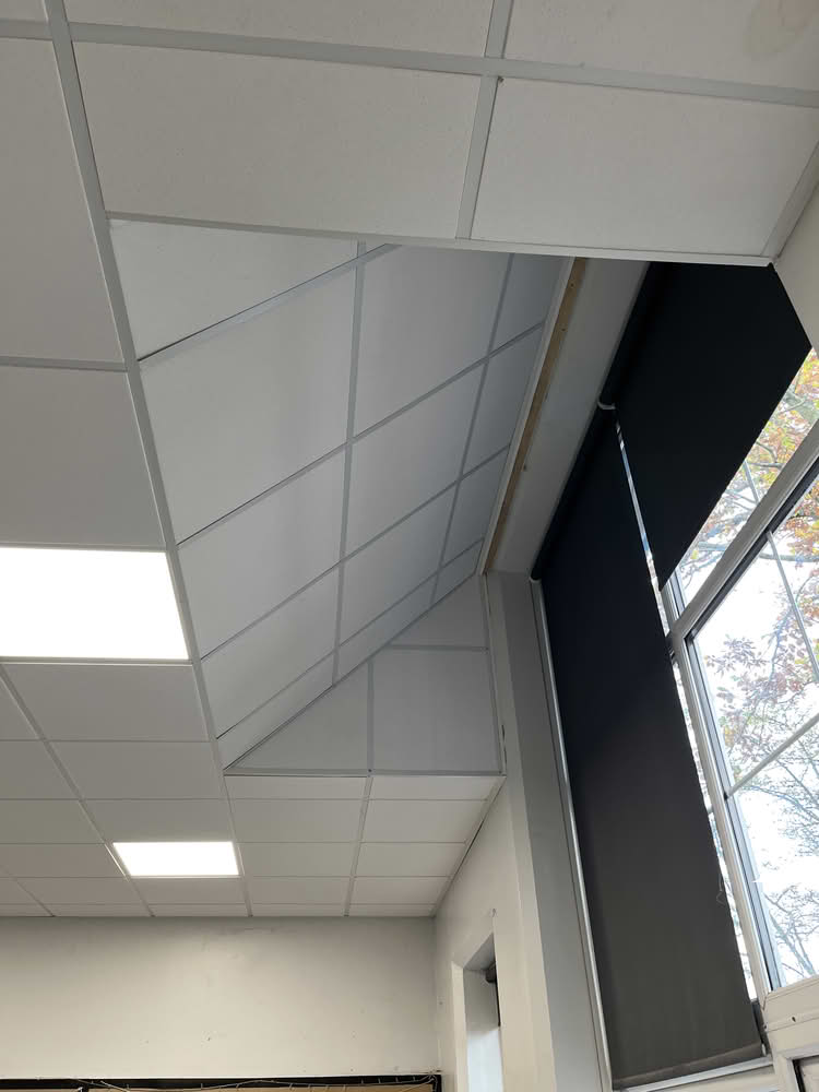 Suspended Ceiling Service
