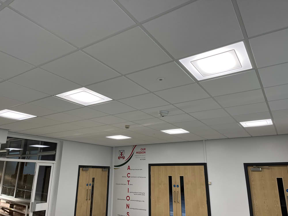 Suspended Ceiling System
